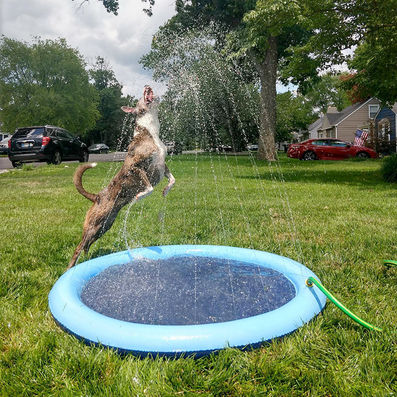 Piscina Inflável para Pets - Ajuda Seu Amigo A Se Refrescar No Calor